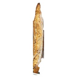 Baguette Tradition